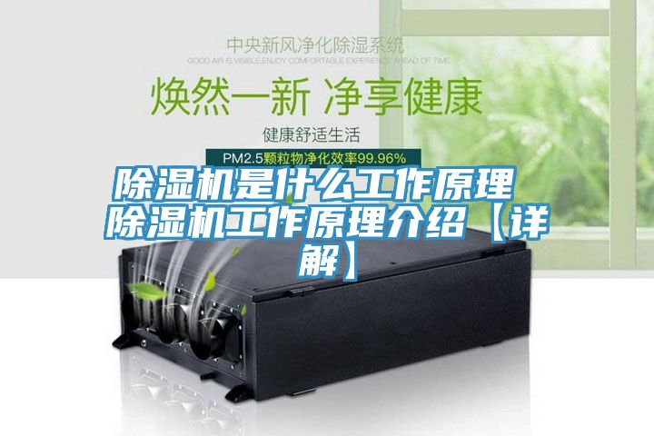 草莓污视频在线看是什麽工作原理 草莓污视频在线看工作原理介紹【詳解】