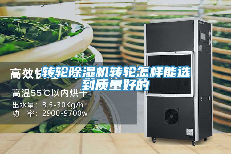 轉輪草莓污视频在线看轉輪怎樣能選到質量好的