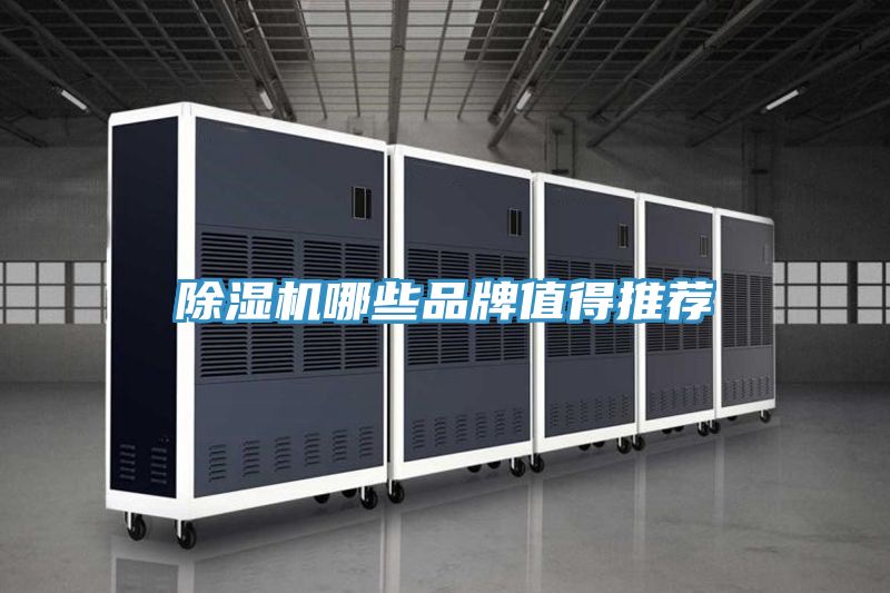草莓污视频在线看哪些品牌值得推薦