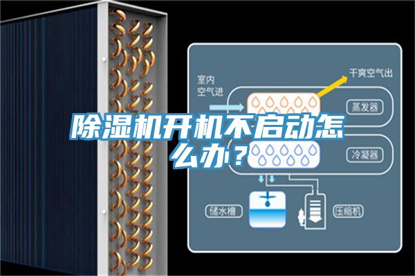 草莓污视频在线看開機不啟動怎麽辦？