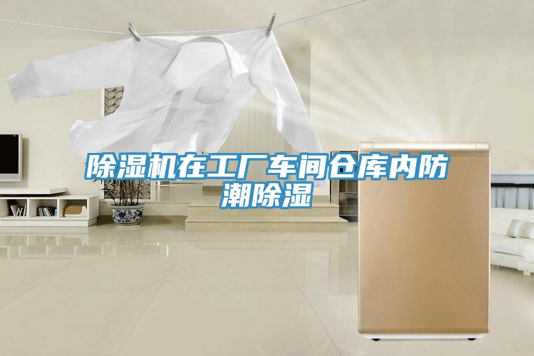 草莓污视频在线看在工廠車間倉庫內防潮除濕