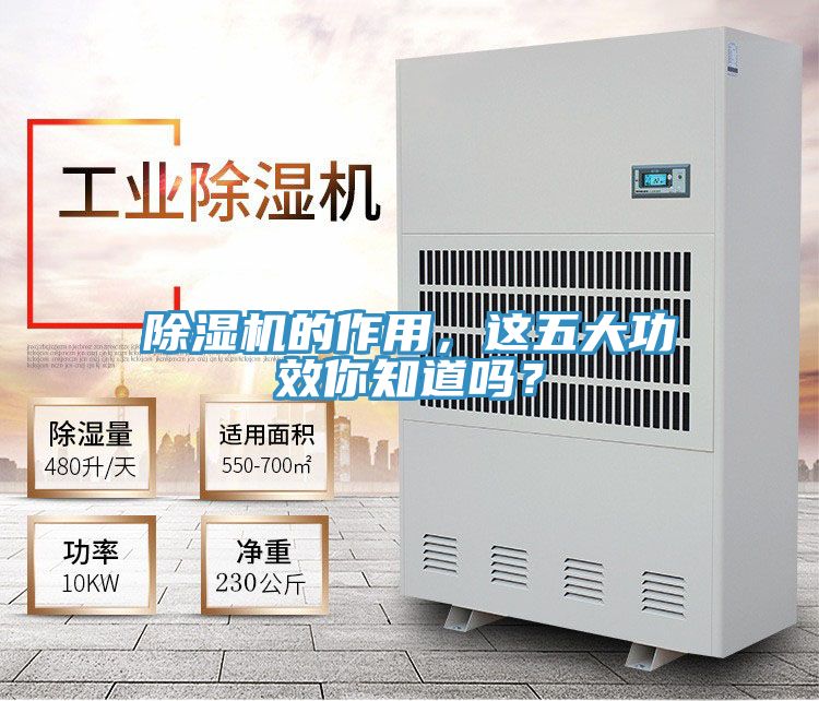 草莓污视频在线看的作用，這五大功效你知道嗎？