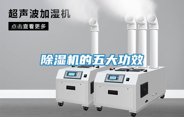草莓污视频在线看的五大功效